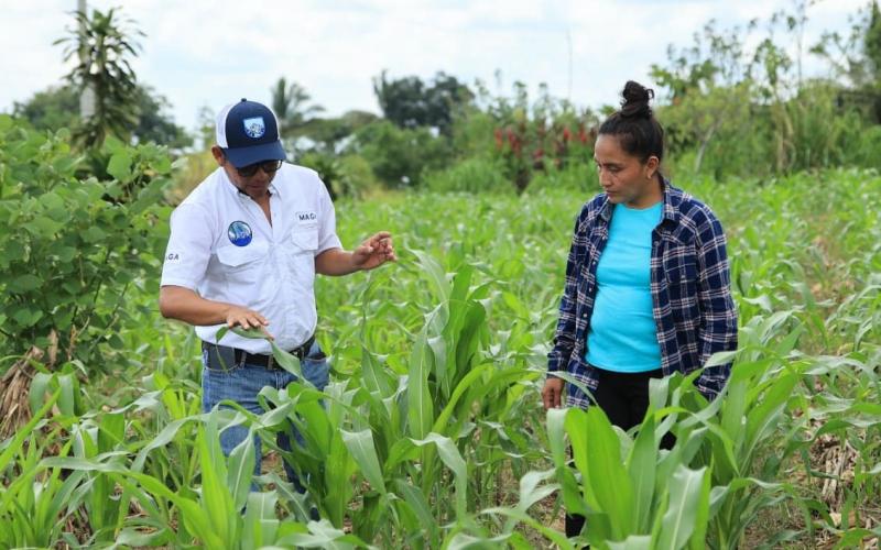 Se brindo asistencia técnica y capacitación a más de 120 mil pequeños productores