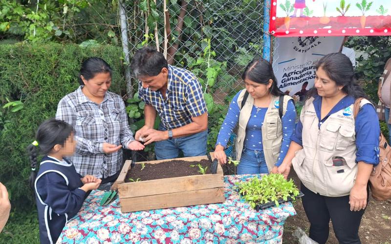 Un reto para las familias guatemaltecas: iniciar 2025 con un huerto familiar
