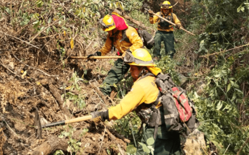 Acciones combate de incendios
