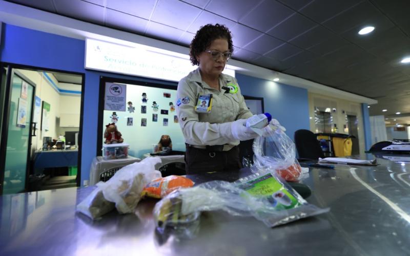 Fortalecen acciones de sanidad agropecuaria en aeropuerto La Aurora