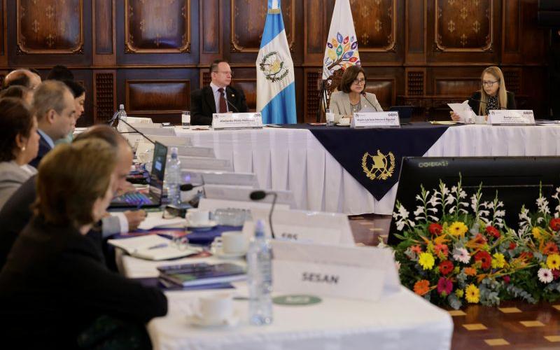 Vicepresidenta Karin Herrera