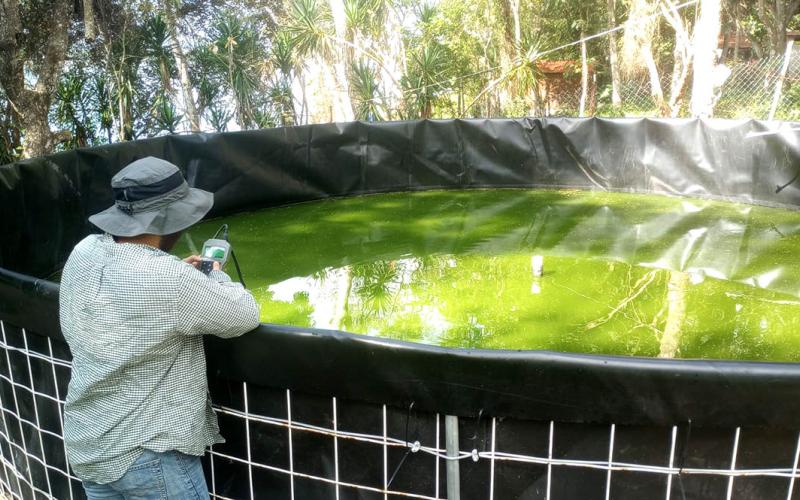 Asistencia técnica permite optimizar la producción acuícola