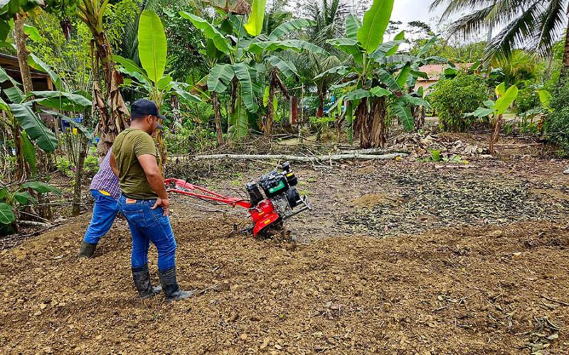 Brigada agrícola apoya el establecimiento de parcela de sandía en San Luis