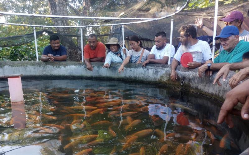 Capacitan a productores de Petén en sistemas de cultivo de tilapia
