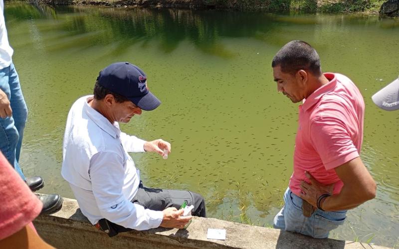 Capacitan a productores de peces de Petén en el manejo de cultivo de tilapia