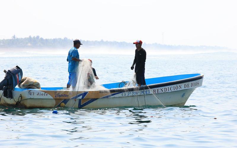 Conozca qué son las vedas de pesca
