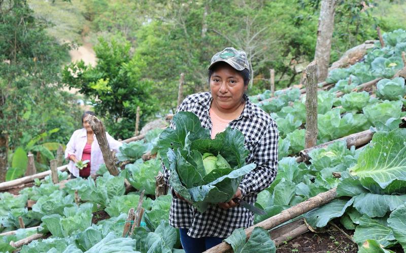 Crédito Tob'anik impulsará el desarrollo sostenible