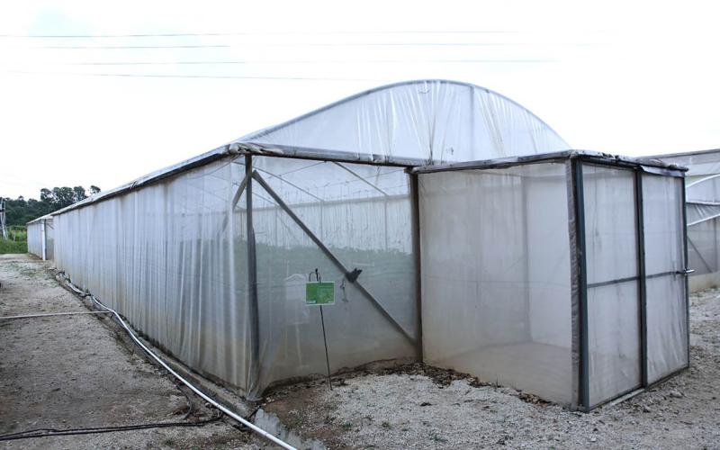Crece el uso de invernaderos