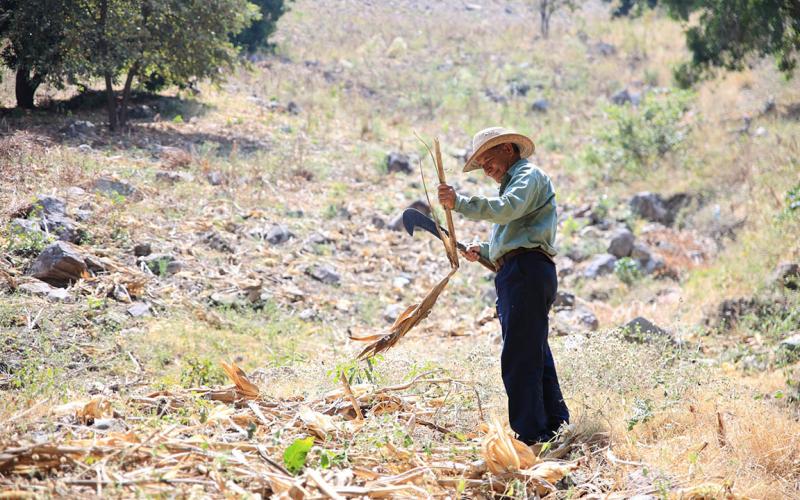 Prevengamos los incendios forestales con buenas prácticas agrícolas