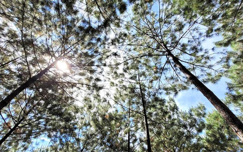 Emiten recomendaciones para el agro en el marco de conmemoración del terremoto de 1976