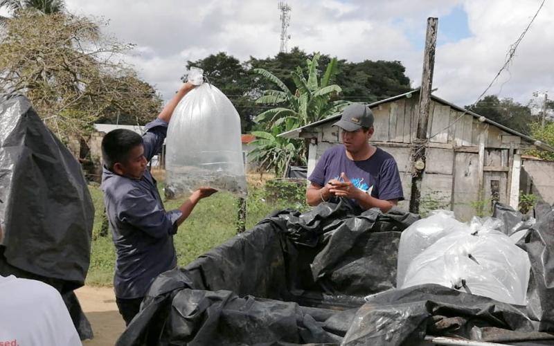 Entregan más de 29 mil alevines a productores de Petén