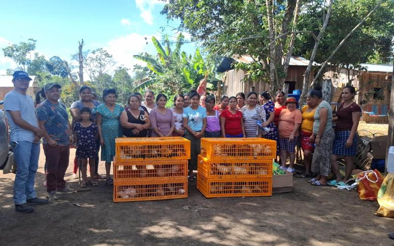 Fomentan la producción avícola en familias peteneras 