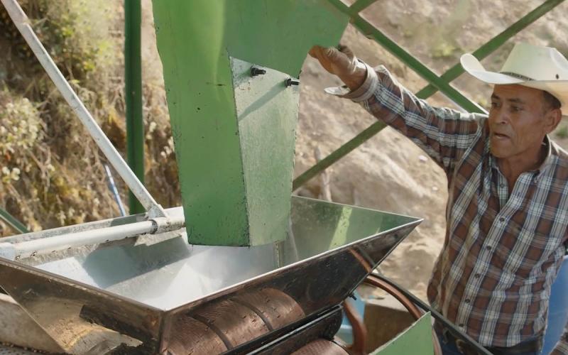 Fonagro y su rol en el sector agropecuario de Guatemala