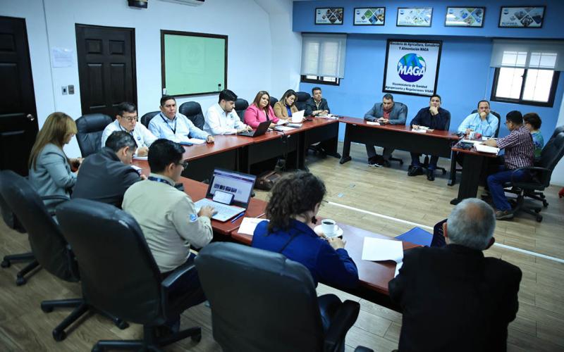 Fortalecen prevención del ingreso de enfermedades que afectan a las musáceas