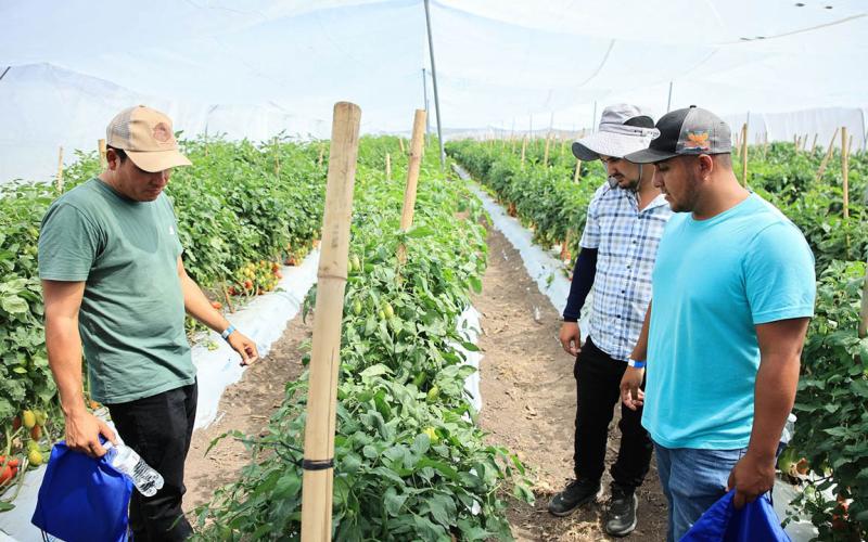 Horticultores de oriente adquieren nuevos conocimientos tecnológicos