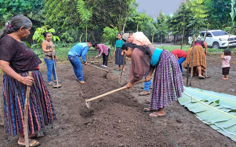 Huerto comunal fortalecen agricultura familiar campesina en Ixcán