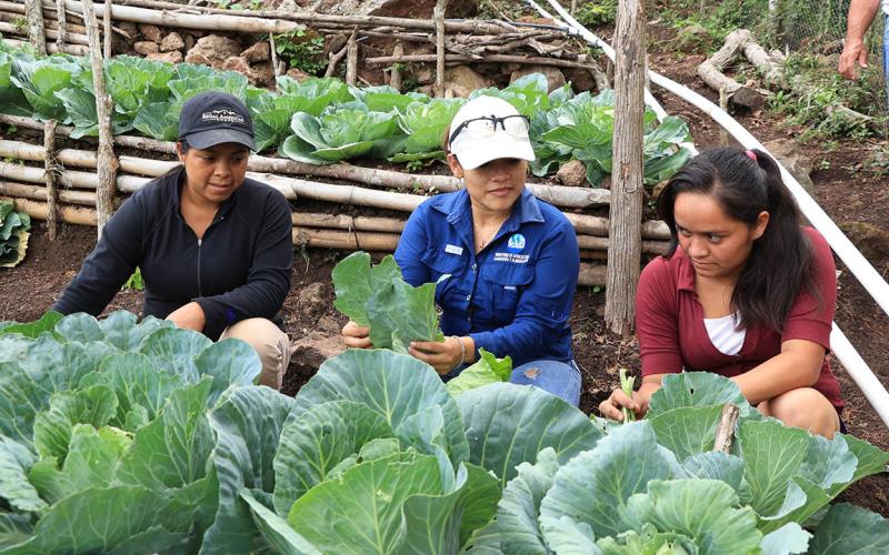 Huertos comunitarios, una semilla de bienestar para las familias guatemaltecas