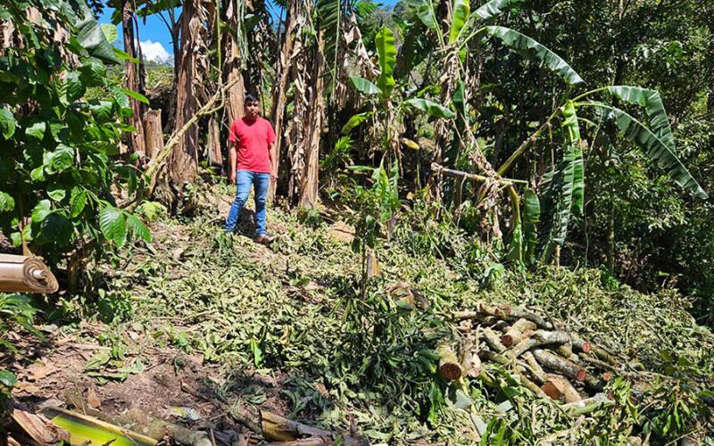Impulso a la agricultura familiar con la creación de huertos en Camotán