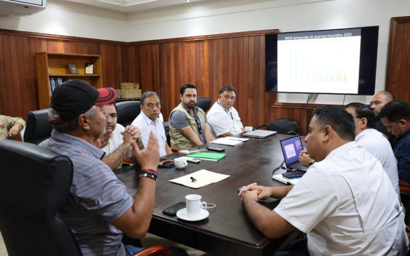 Planifican como enfrentar la temporada de incendios forestales en Petén