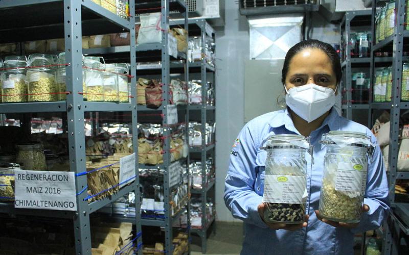 La importancia de los bancos de semillas