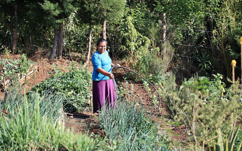 Los huertos son una herramienta para combatir la inseguridad alimentaria
