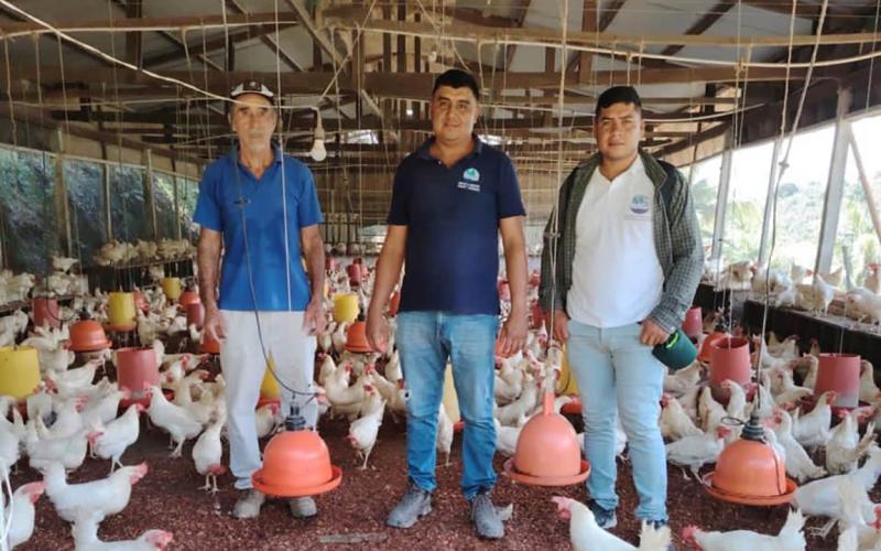Más productores locales se suman a la alimentación escolar en Izabal