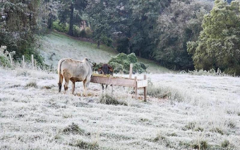 Prevén bajas temperaturas en 86 municipios