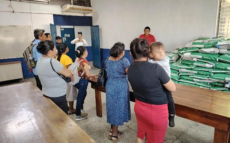 Productores de Retalhuleu fortalecen producción de maíz con semillas mejoradas