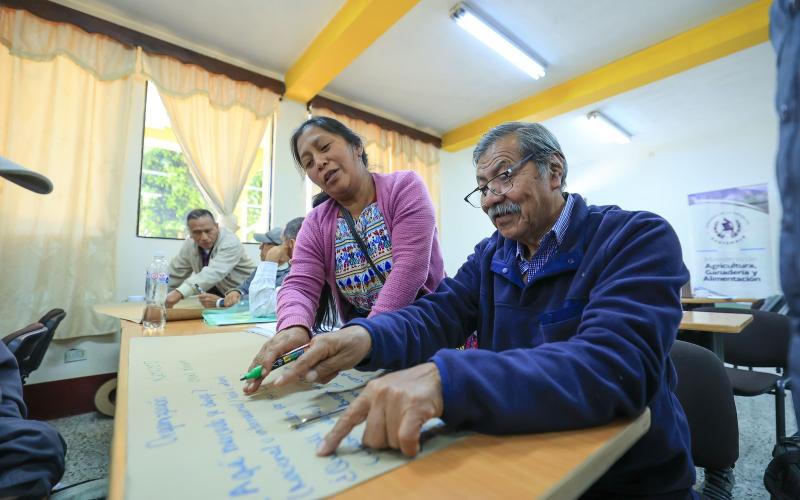 Reforzando procesos de comercialización de café de pequeños productores