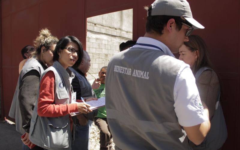 Se atiende de forma inmediata caso de perro maltratado en Mixco