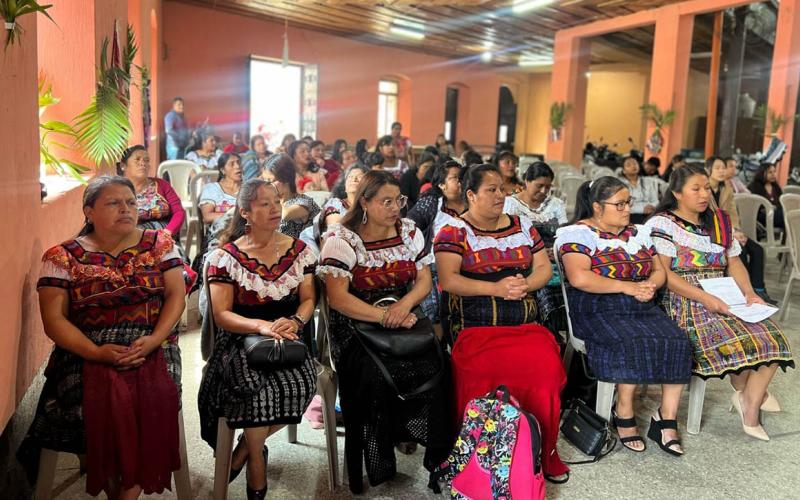 Surge nueva asociación de productoras sololatecas