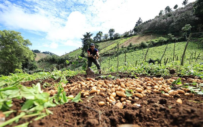 Transparencia en la gestión del Crédito Tob’anik