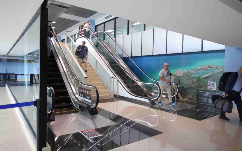 Gradas eléctricas AILA