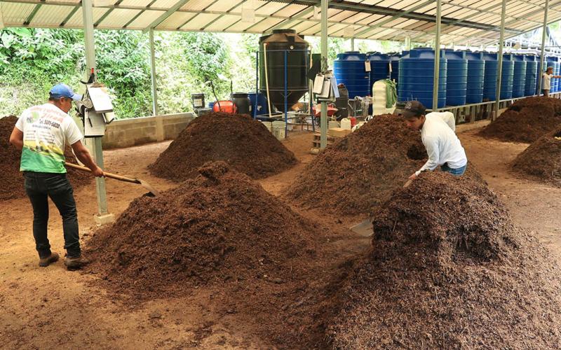 Abono orgánico, una práctica que mejorar la fertilidad del suelo