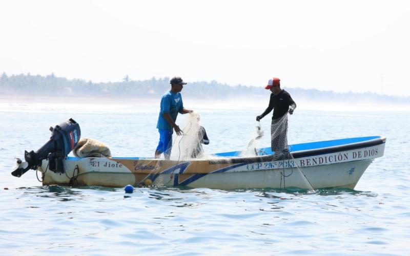 Acuerdan veda de cinco años para las especies de peces de las familias Scaridae
