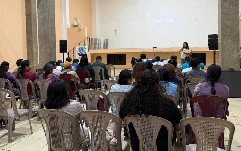 Capacitación a proveedores del Programa de Alimentación Escolar (PAE)