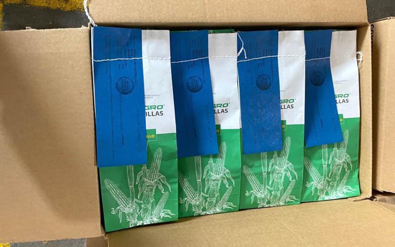 Certificadas con etiqueta azul 65 mil bolsas de semillas 