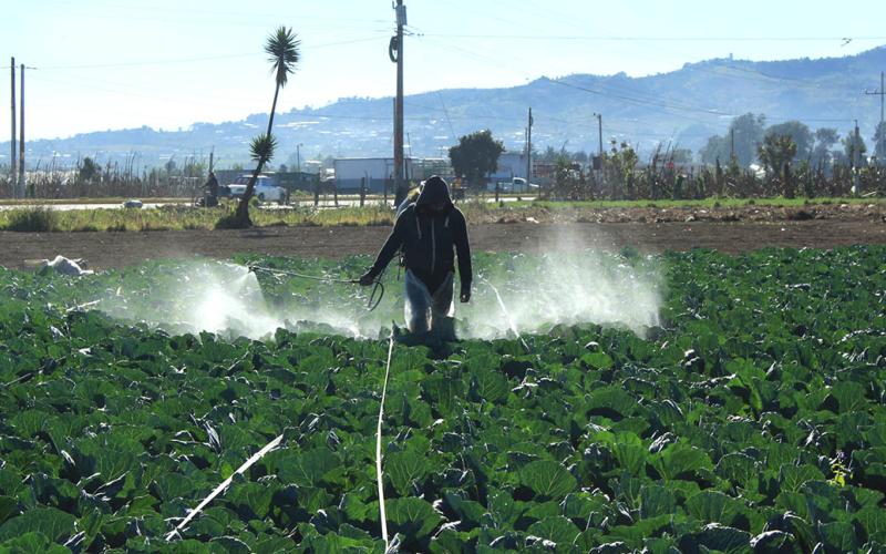 Emitidos más de 1600 Permisos de Importación de Insumos Agrícolas