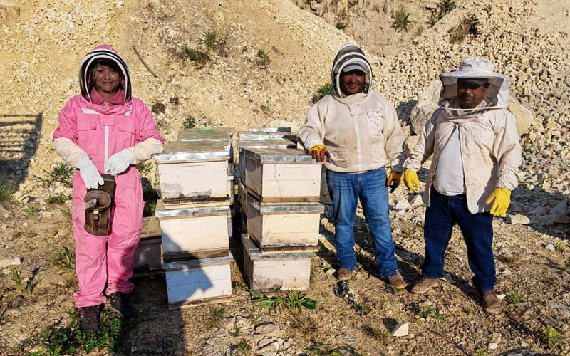 Entregan colmenas a nuevos apicultores en Petén
