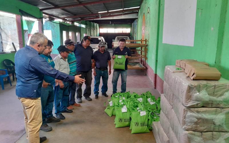 Entregan semillas y brindan asistencia técnica a productores de café de Escuintla 