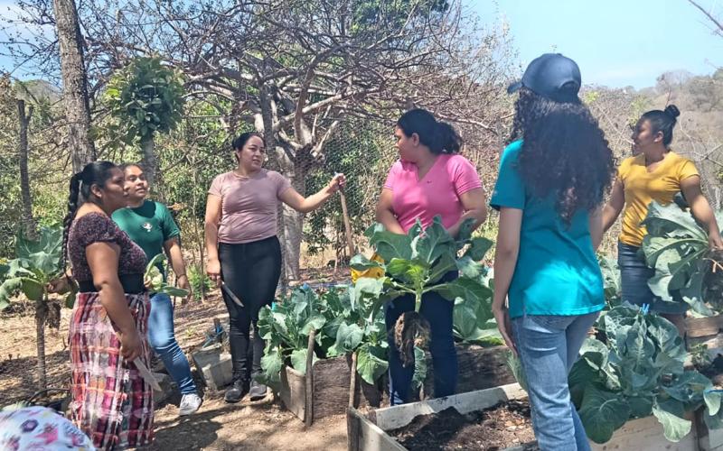 La Agricultura Familiar es clave para el acceso a los alimentos y la economía rural