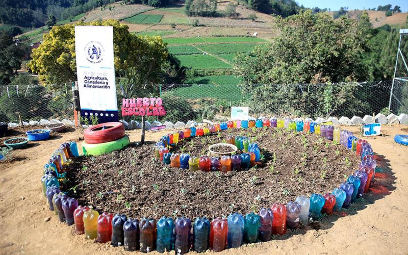 Los Huertos Escolares Pedagógicos fomentan la agricultura familiar en Zacapa