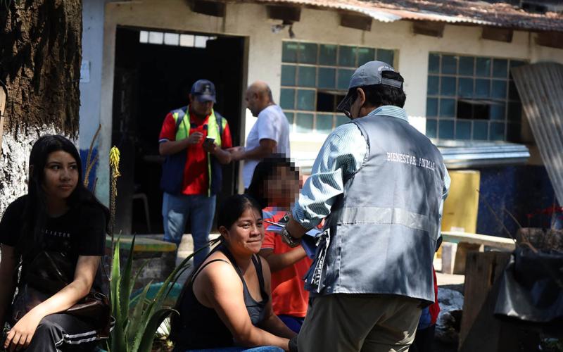 Más de 100 gatos ferales esterilizados en la zona 7 capitalina