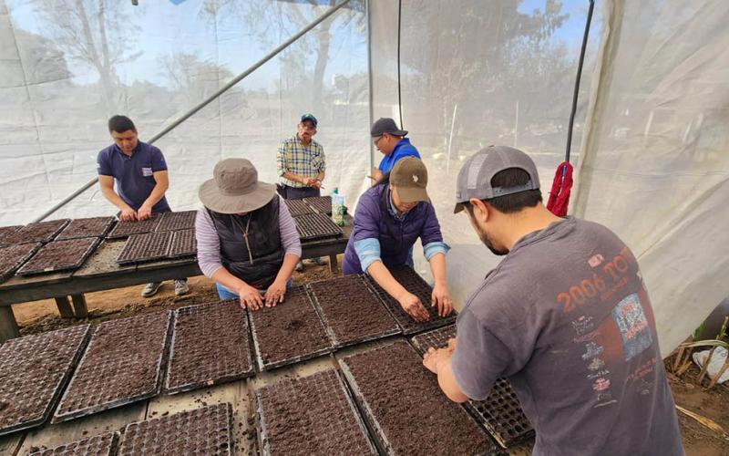 Producirán 18 mil pilones para huertos familiares