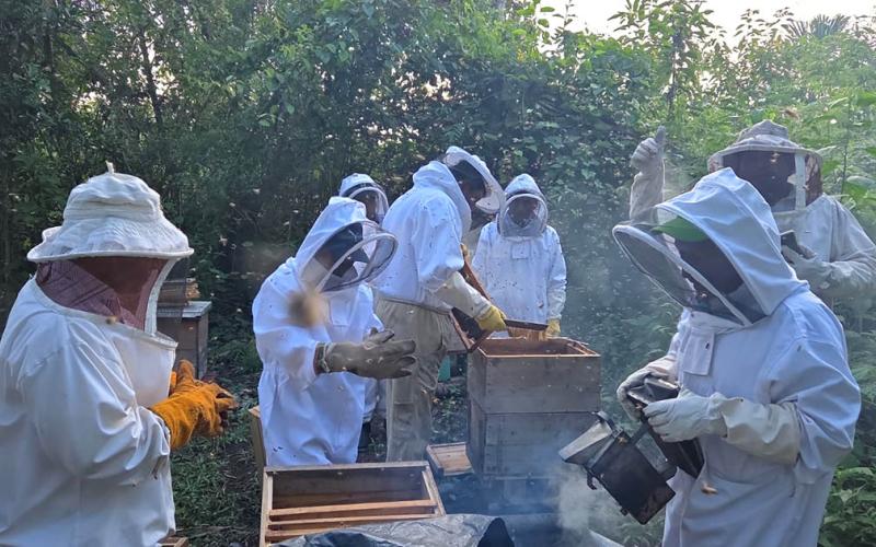 Productores de Sayaxché reciben diplomado en apicultura