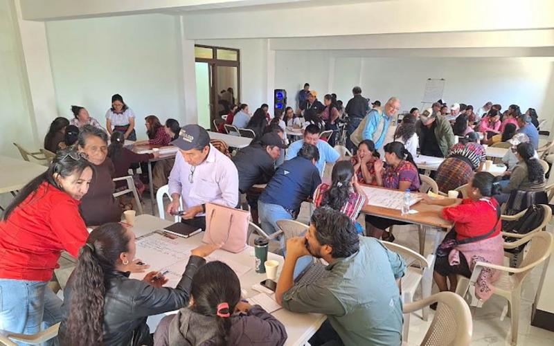 Productores de hongo ostra destacan durante encuentro regional