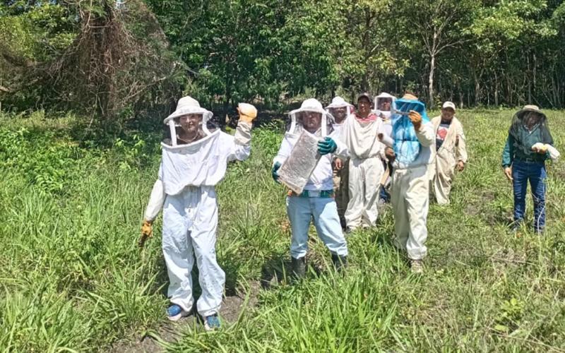 Productores fortalecidos en Buenas Prácticas Apícolas
