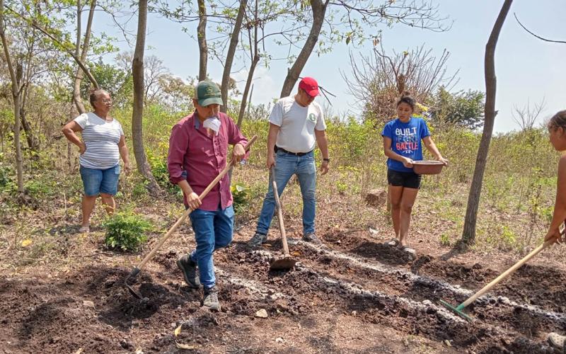 Promueven la agricultura familiar en Escuintla
