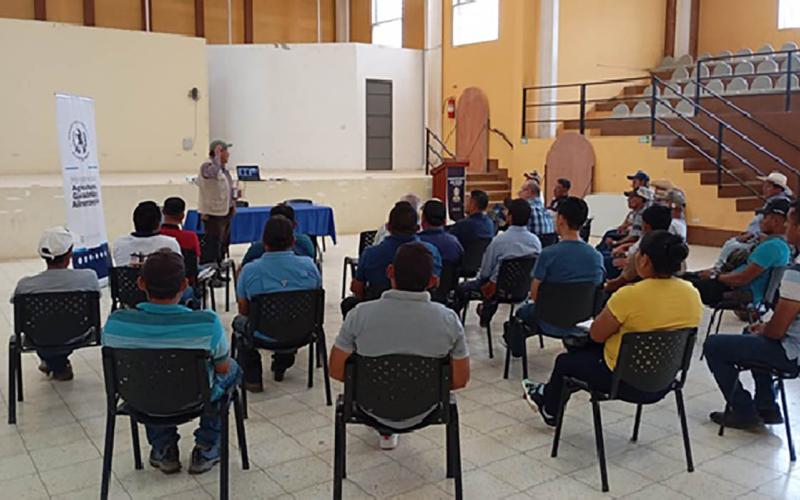 Promueven la implementación de buenas prácticas ganaderas en Alta Verapaz