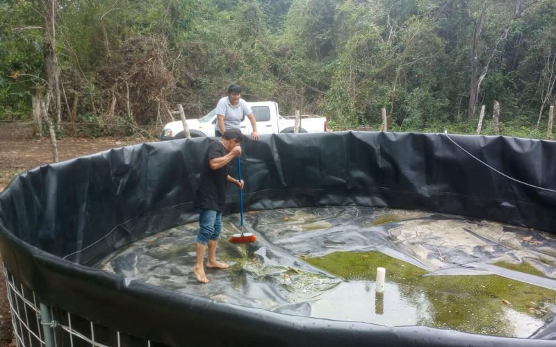 Realizan control de calidad en proyectos de Tilapia en Flores, Petén